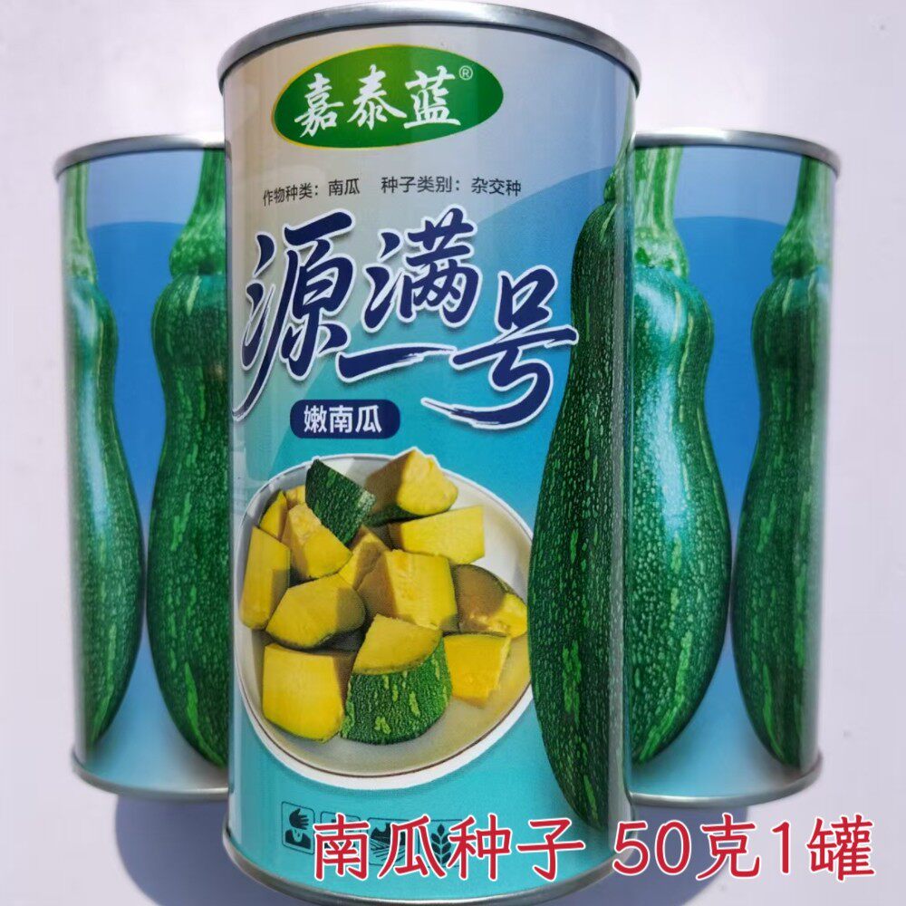 源满一号南瓜种子农家春播嫩南瓜种籽早中熟杂交南瓜种孑蔬菜种子