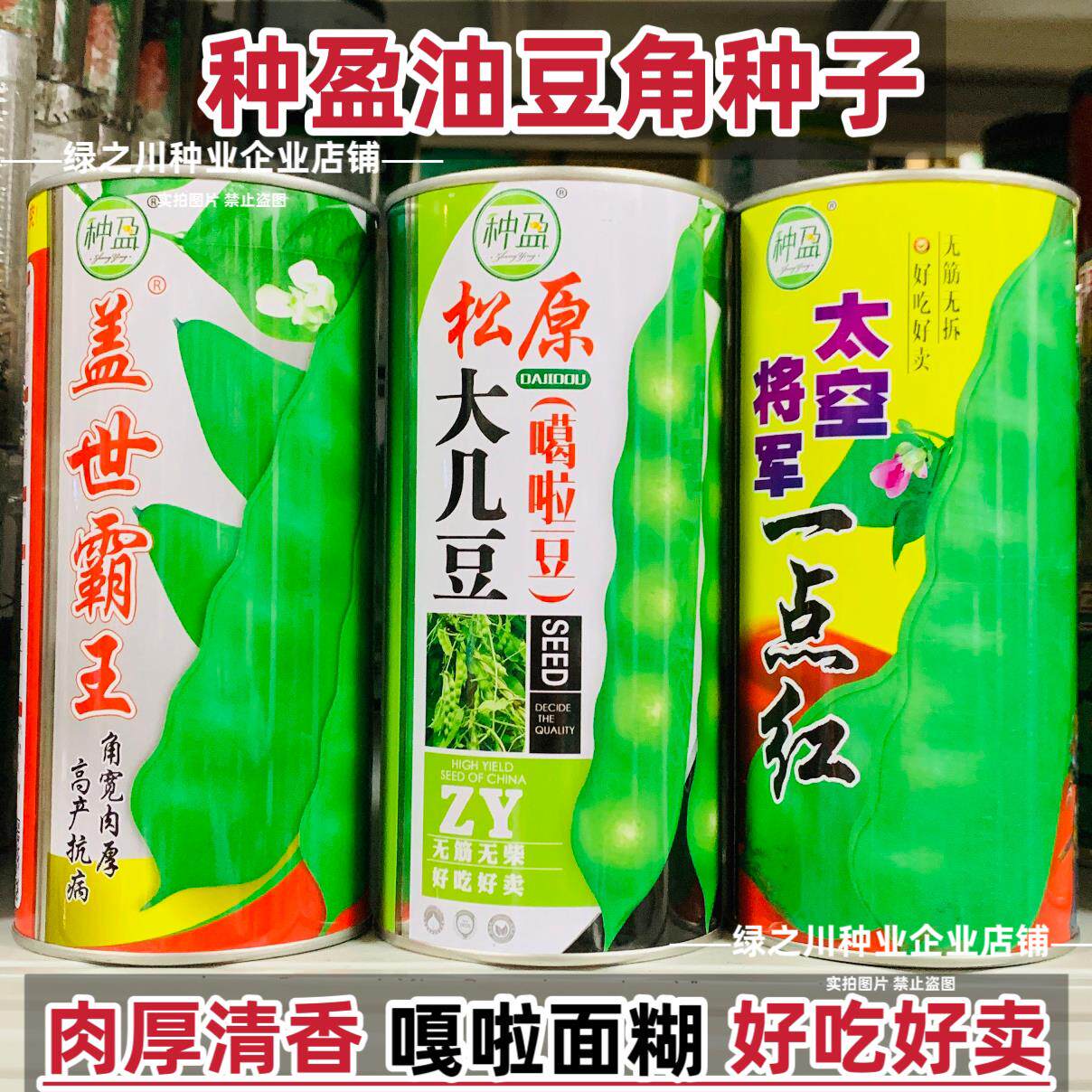 盖世霸王豆角种子东北高产油豆角种籽大几豆籽鼓豆一点红种子