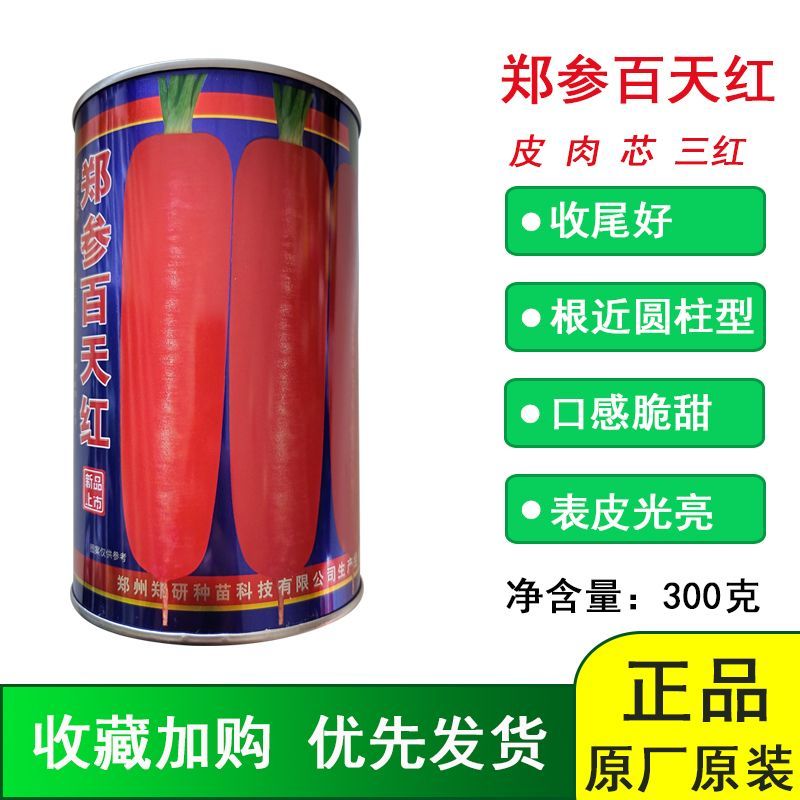 郑研郑参百天红胡萝卜种子皮肉芯三红根形棒状收尾好表皮光滑脆甜