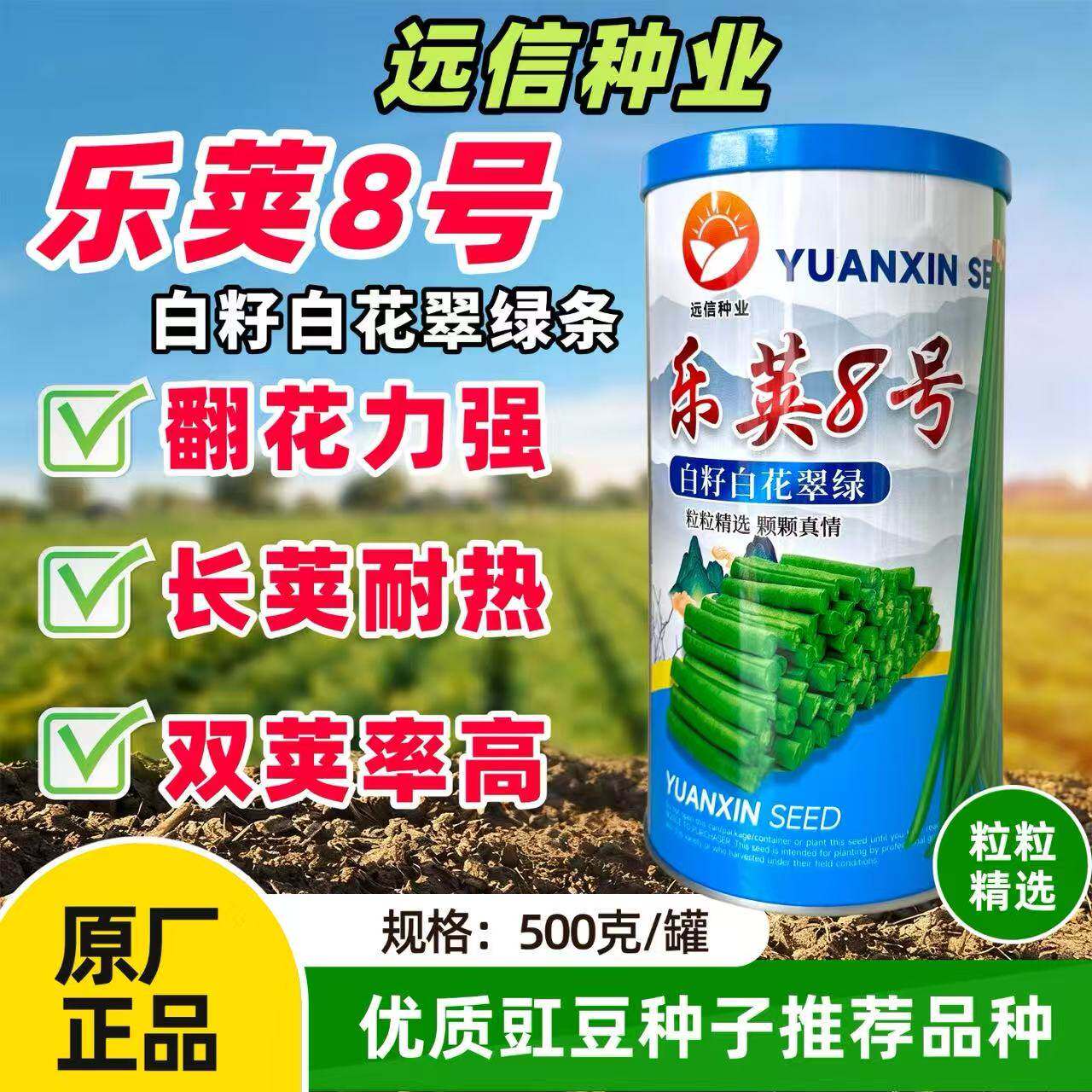 乐荚8号白籽白花翠绿条长豇豆种子双荚率高耐高温耐热长豆角种籽