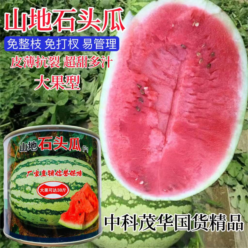 山地石头瓜超甜特大皮薄耐裂多汁
