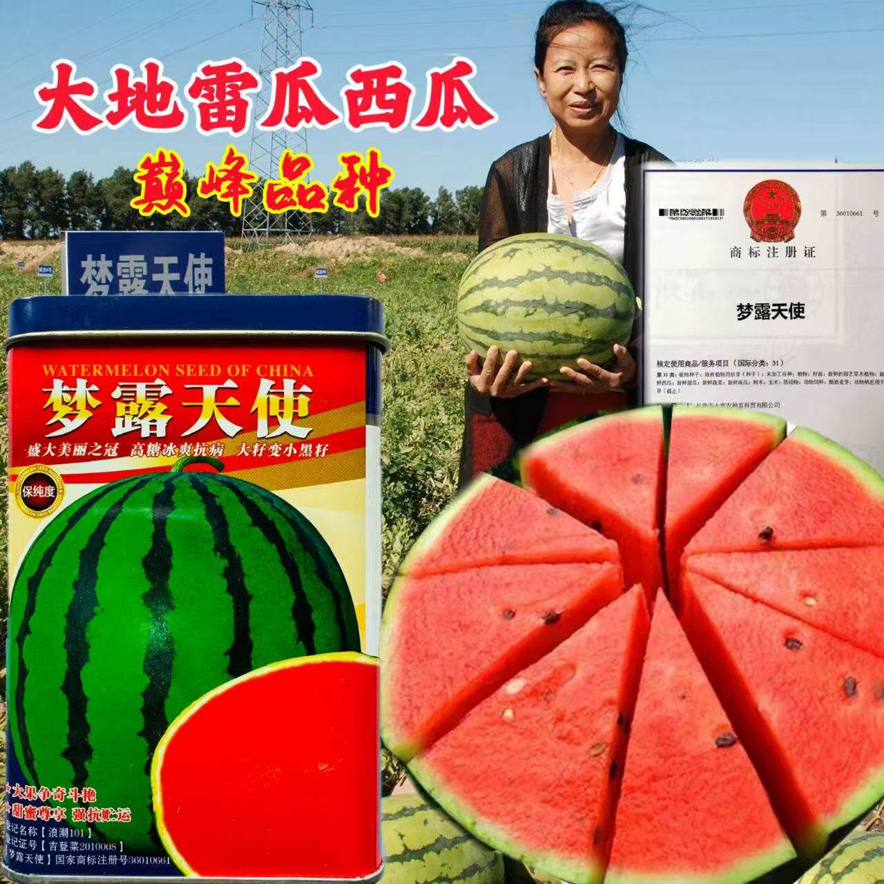 梦露天使西瓜红瓤脆甜多汁耐裂