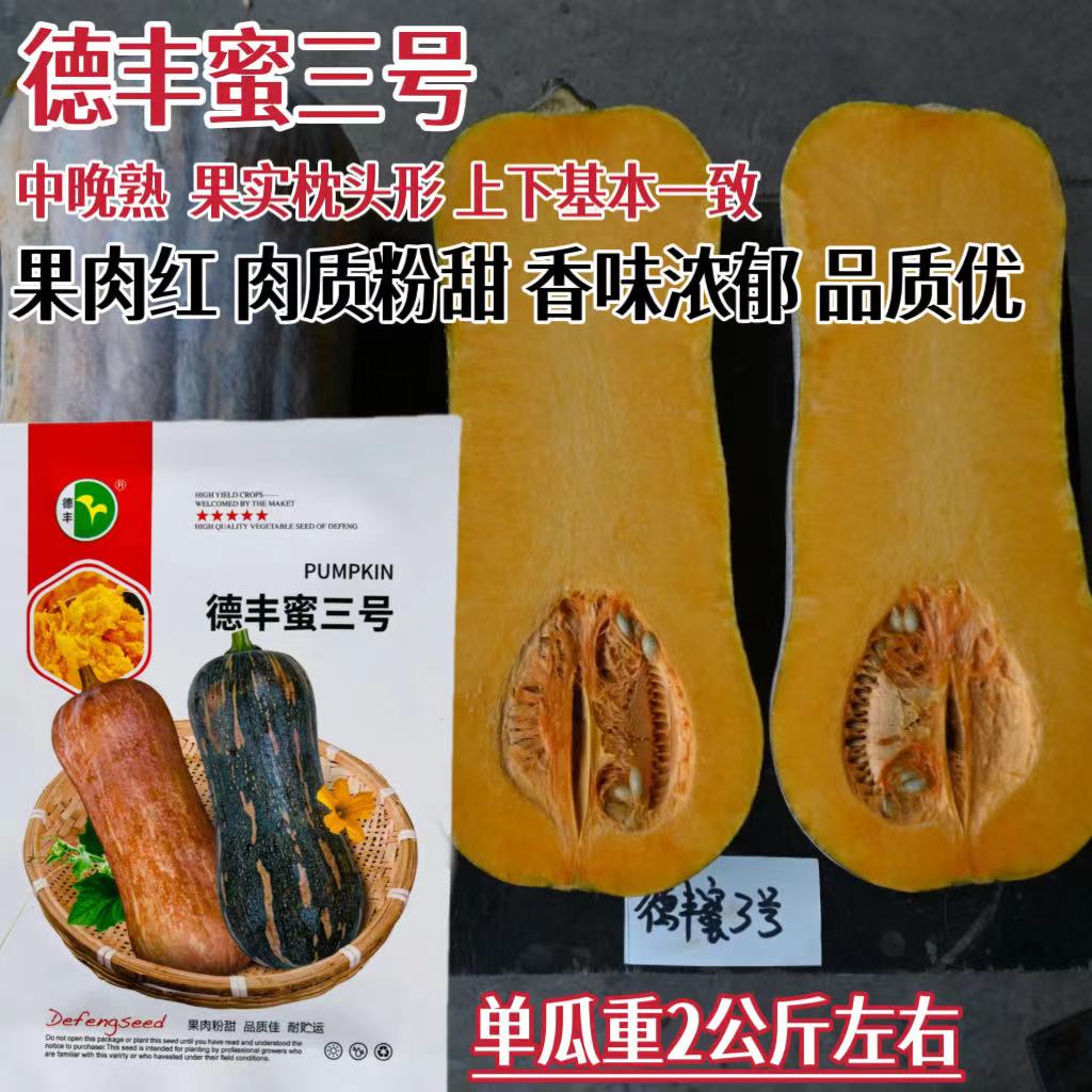 德丰蜜三号南瓜种子 春秋中晚熟枕头形质粉甜香味浓郁老南瓜种子