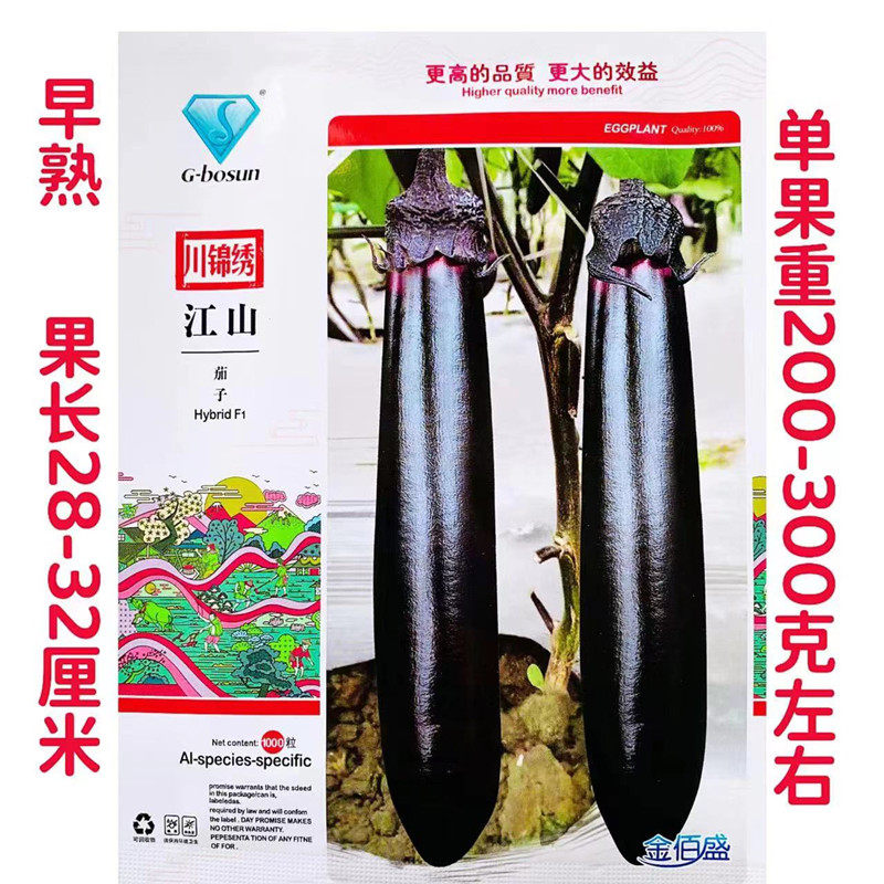 江山超长茄子种子早熟高产油黑茄子紫色长茄种籽农家春秋蔬菜种孑