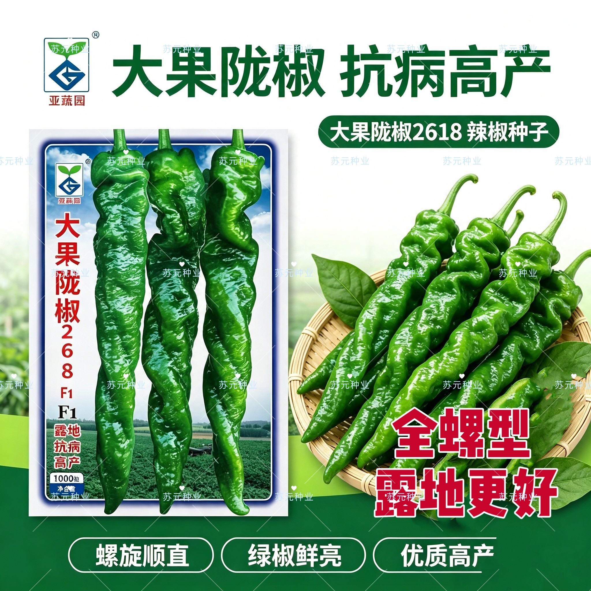 大果陇椒2618全螺螺丝椒种子露地栽培早熟抗病椒条顺直皮薄肉厚籽