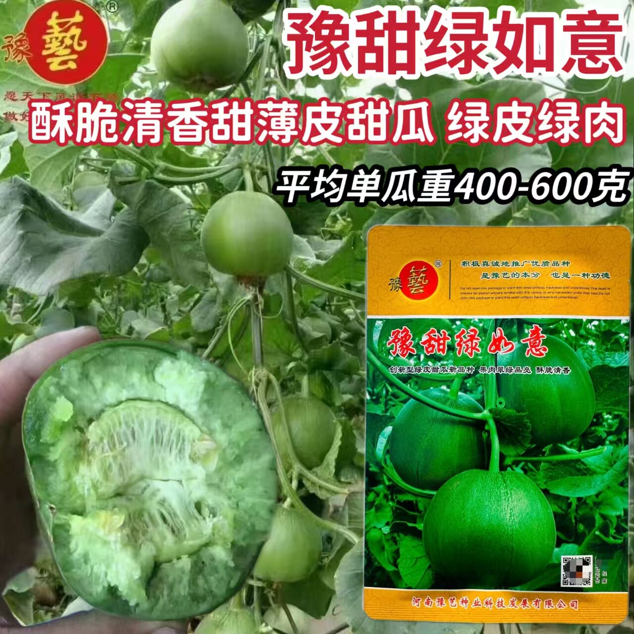 豫甜绿如意 绿宝甜瓜种子 口感好薄皮甜脆早熟高产商品性佳 春播