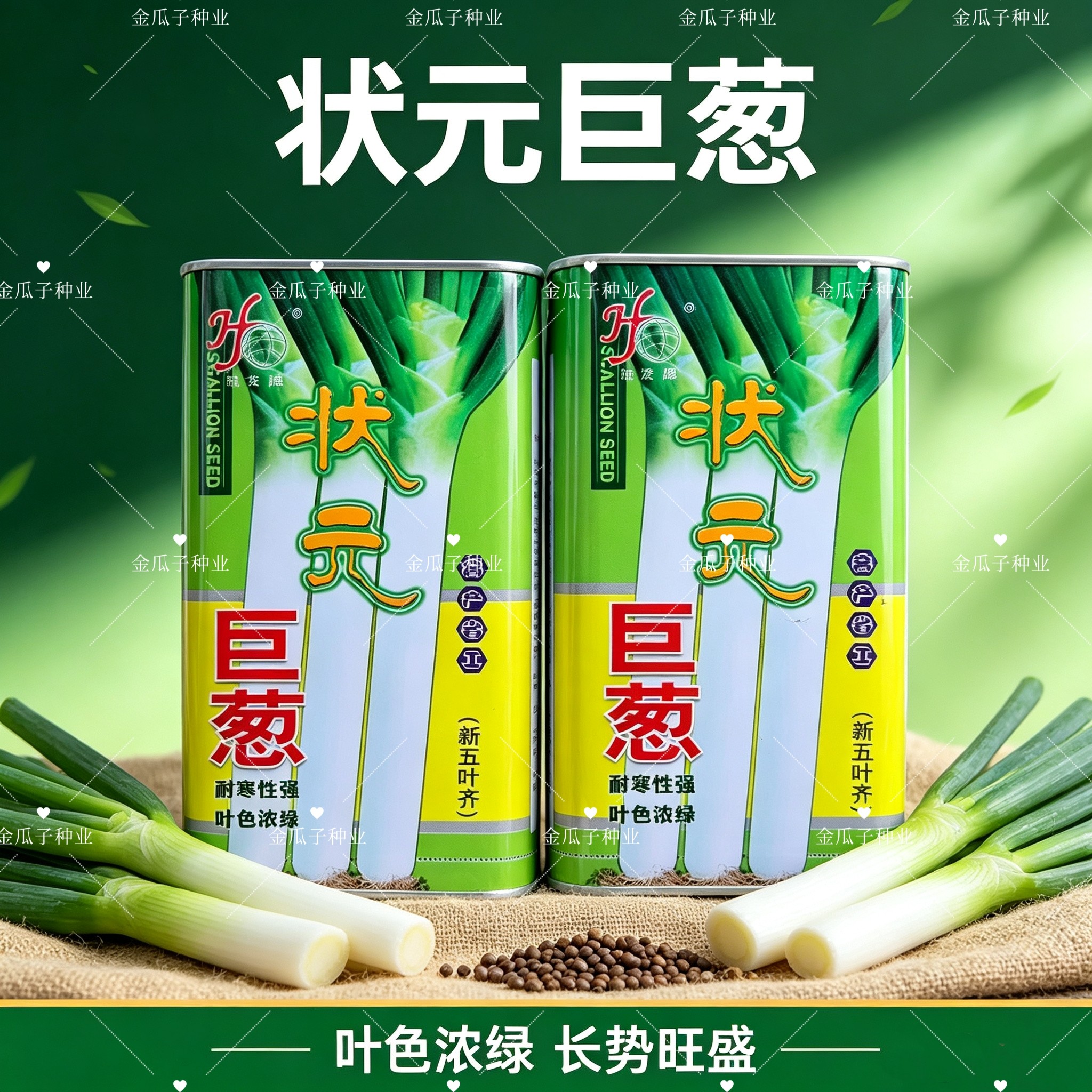 状元巨葱种子新五叶齐寒葱大浓绿大葱种籽高产大田耐寒抗倒抗病白