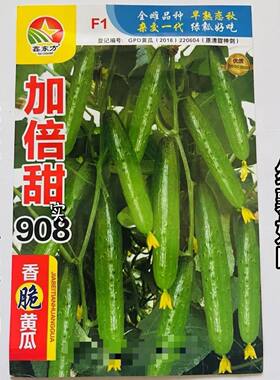 加倍甜908黄瓜绿肉全种子雌性水果甜脆强磁全雌全香脆清香绿瓤