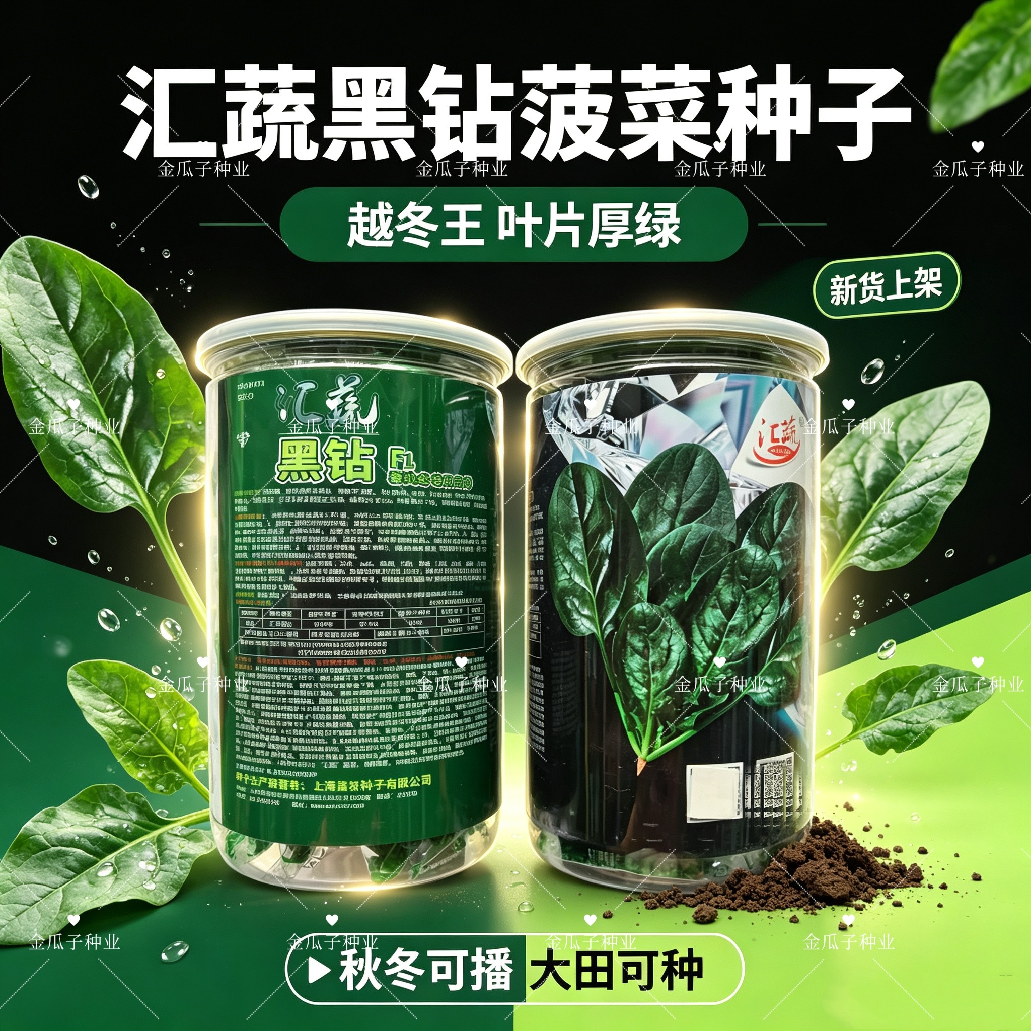 汇蔬黑钻菠菜种子黑圆叶厚实高产耐抽苔半直立红根菠菜籽春秋冬播