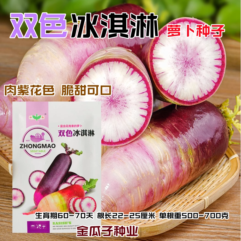 双色冰激凌水果萝卜种子四季糖心冰淇淋萝卜种籽紫皮凤梨萝卜蔬菜