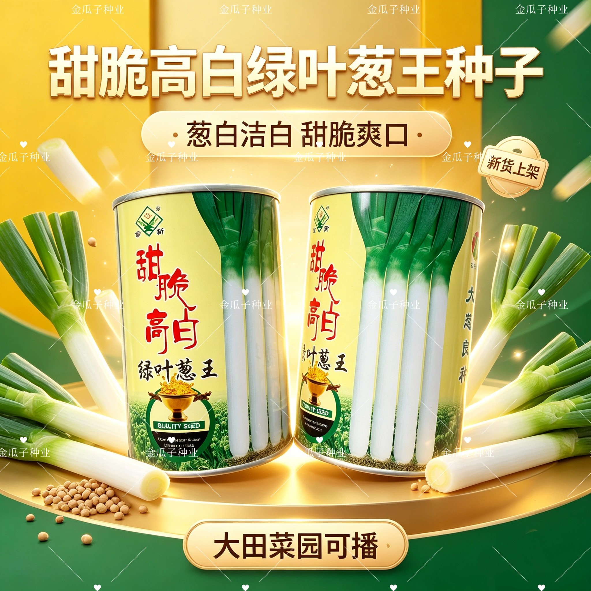 甜脆高白绿叶葱王章丘大葱种子高抗病抗倒伏葱白结实速生大葱种籽