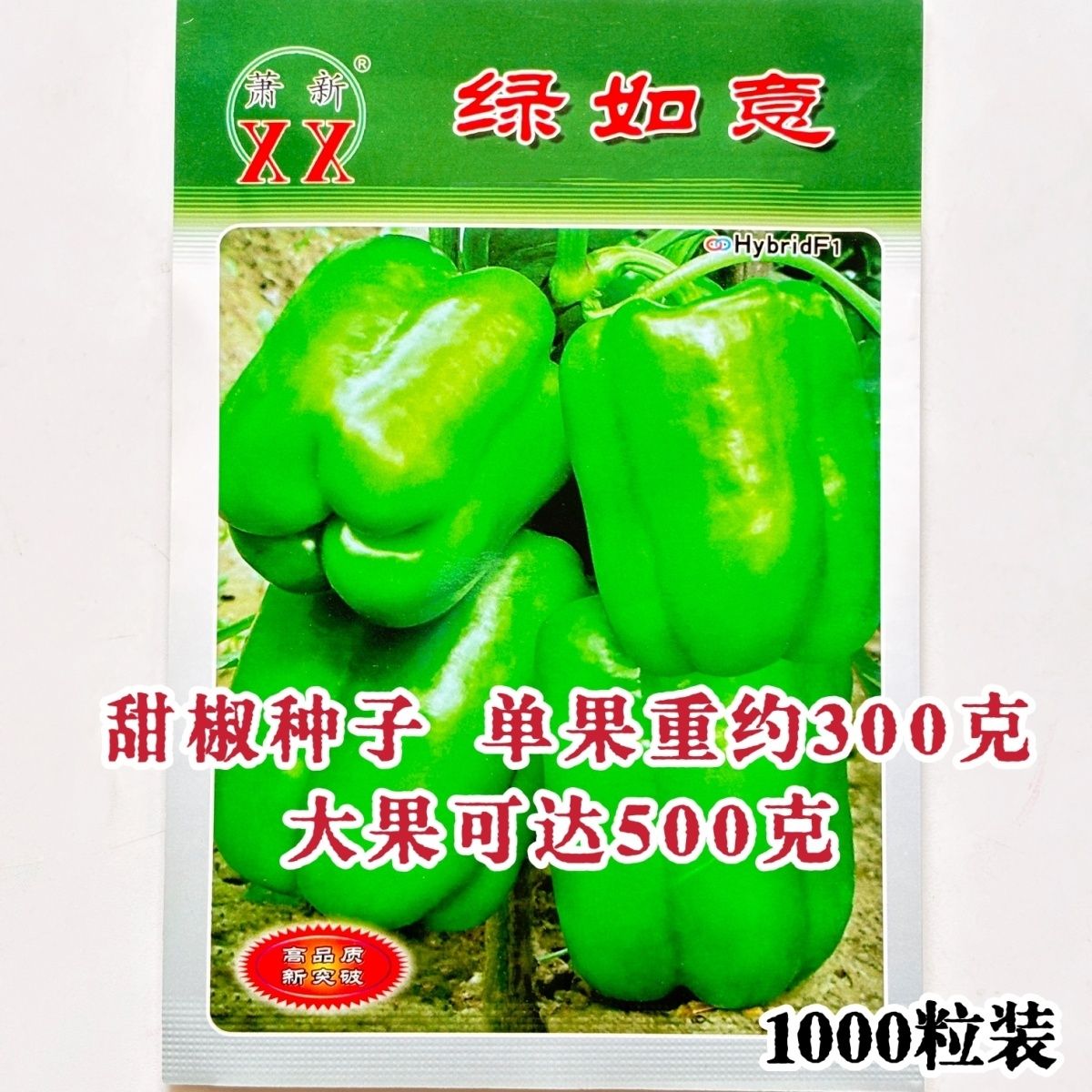 绿如意甜椒辣椒种子早熟灯笼椒肉厚抗病高产春秋大棚露天种植菜种