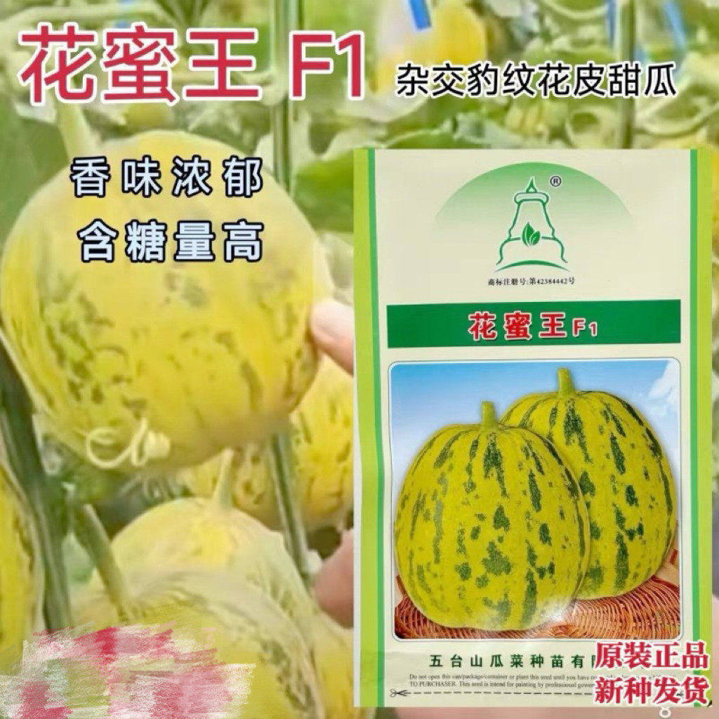 花蜜王花皮豹纹甜瓜种子杂交花皮香瓜香子美观甜度高香味浓春秋播