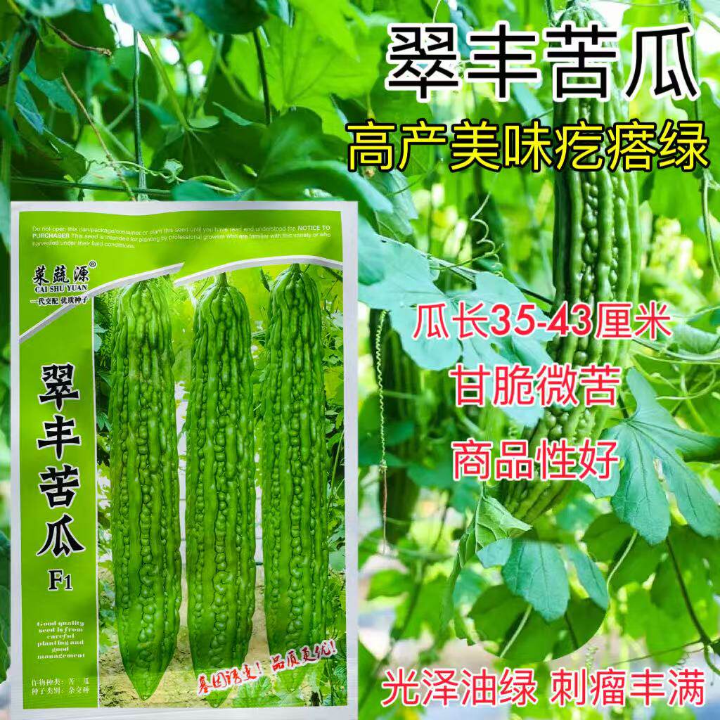 翠丰苦瓜种子绿疙瘩苦瓜籽长棒型微苦菜园露天大棚搭架蔬菜种子孑