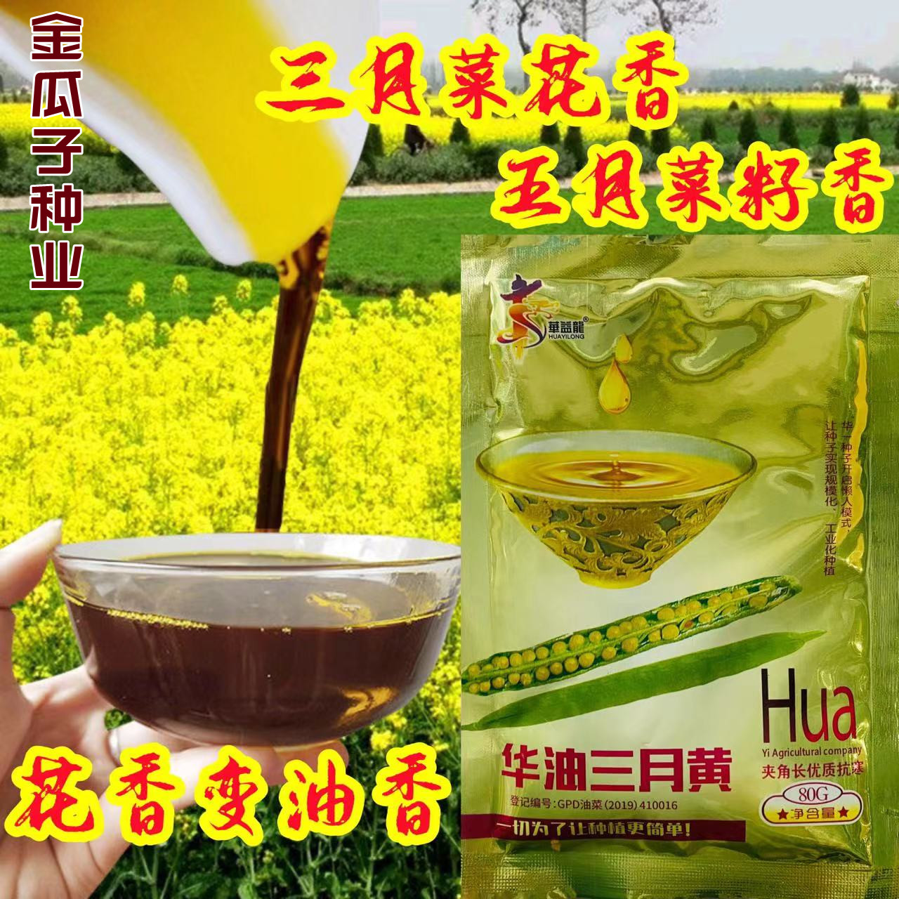 三月黄油菜籽矮杆早熟高产抗病