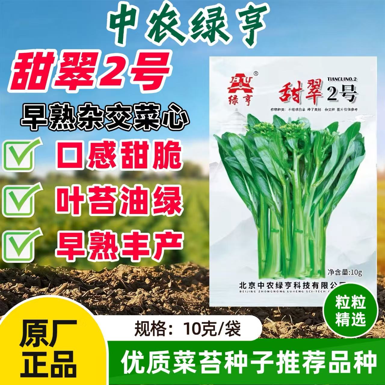 北京中农绿亨甜翠2号早熟菜心种子甜脆无渣广东四九菜心菜苔菜芯