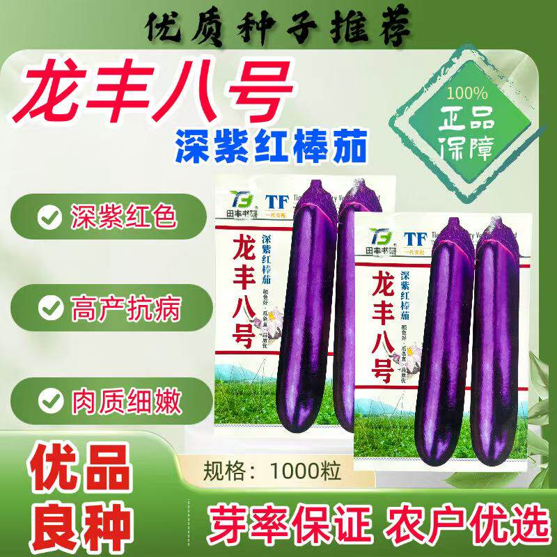 龙丰八号紫红长茄种子中晚熟抗病高产深紫色皮白肉棒茄种籽顺直孑