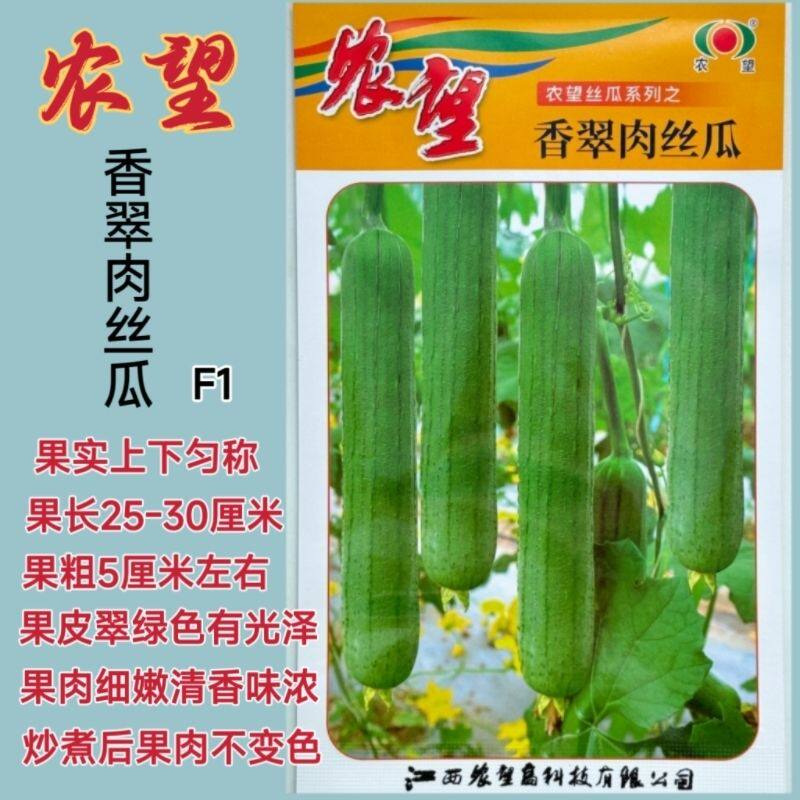 农望香翠肉丝瓜短棒油皮丝瓜种籽高产耐热耐寒油皮香丝瓜种子