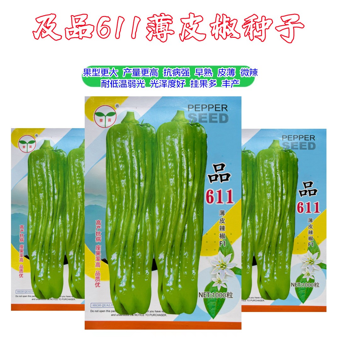奎苗及品611薄皮椒种子早熟微辣大果新品种辣椒籽春秋季播青椒种