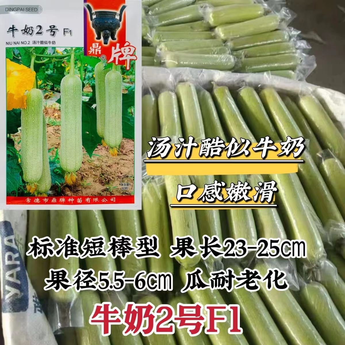 鼎牌牛奶2号丝瓜种子牛奶丝瓜种籽口感特嫩特别滑短棒白丝瓜种籽