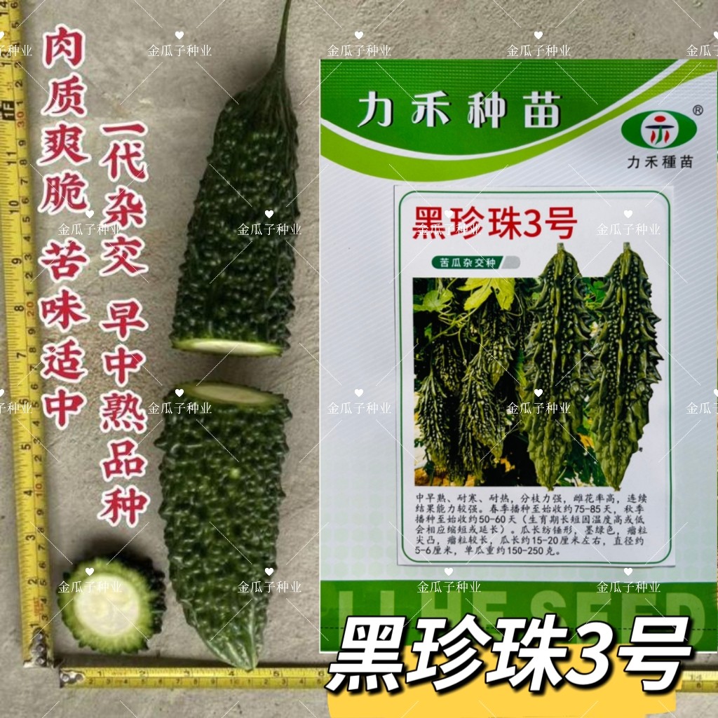 黑珍珠3号苦瓜种子早中熟抗病高产瓜皮浓绿色农家春秋两季播苦瓜