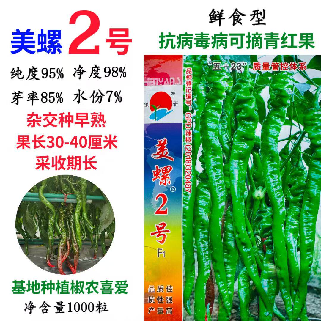 镇研美螺2号螺丝椒长辣椒种子辣味浓早熟高产抗病 春秋播蔬菜种籽
