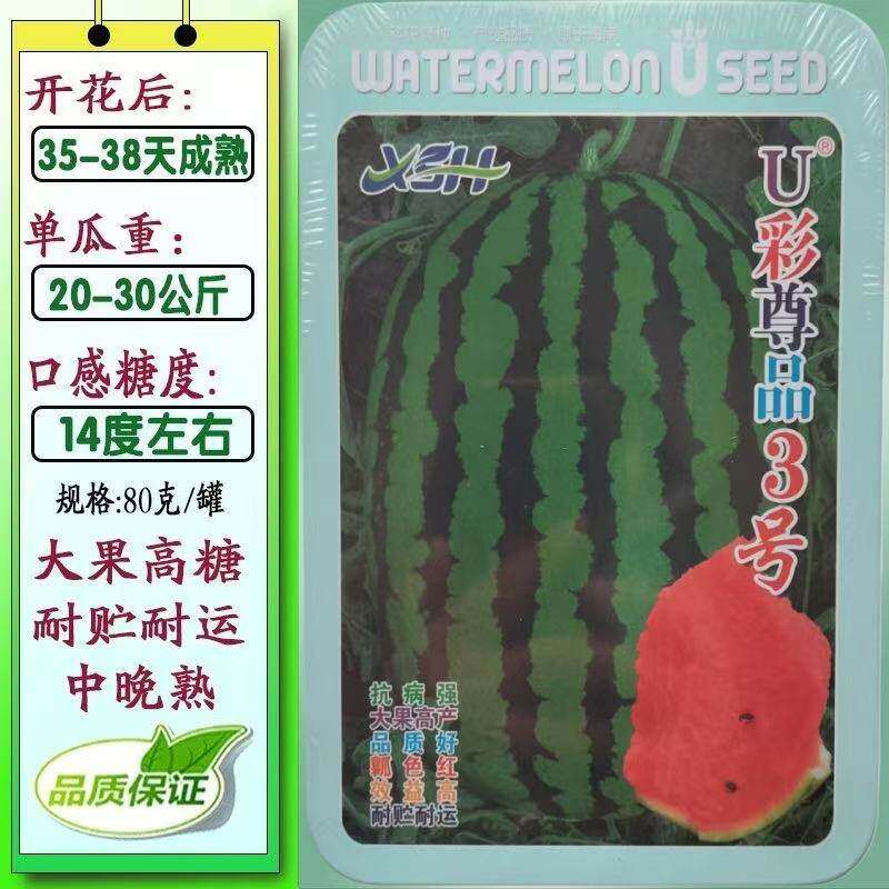 U彩尊品3号东北大西瓜种子懒汉西瓜籽大果甜王西瓜种子基地西瓜种