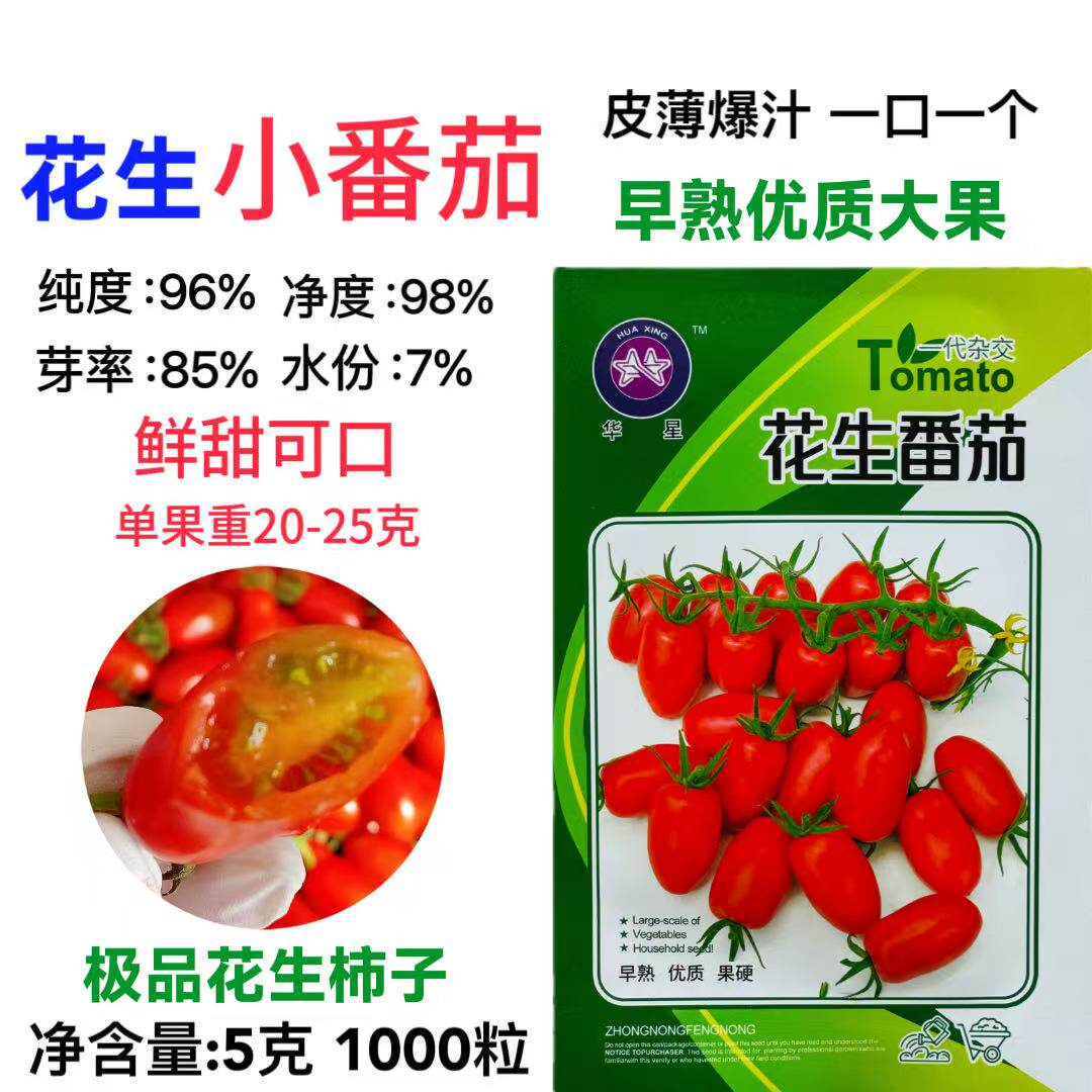 花生小番茄种子早熟皮薄爆汁鲜甜可口西红柿种籽阳台盆栽蔬菜种孑