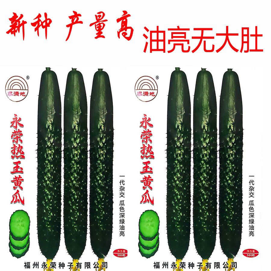 永荣热玉黄瓜种子 墨绿油亮型黄瓜种子 密刺绿肉无大肚黄瓜种子