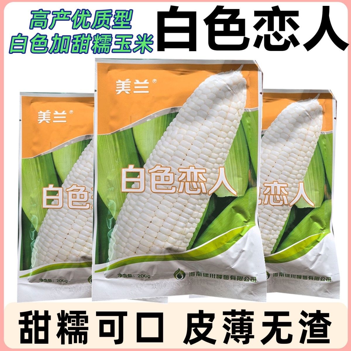 白色恋人玉米种子加甜糯白糯鲜食玉米好吃高产春播玉米种子