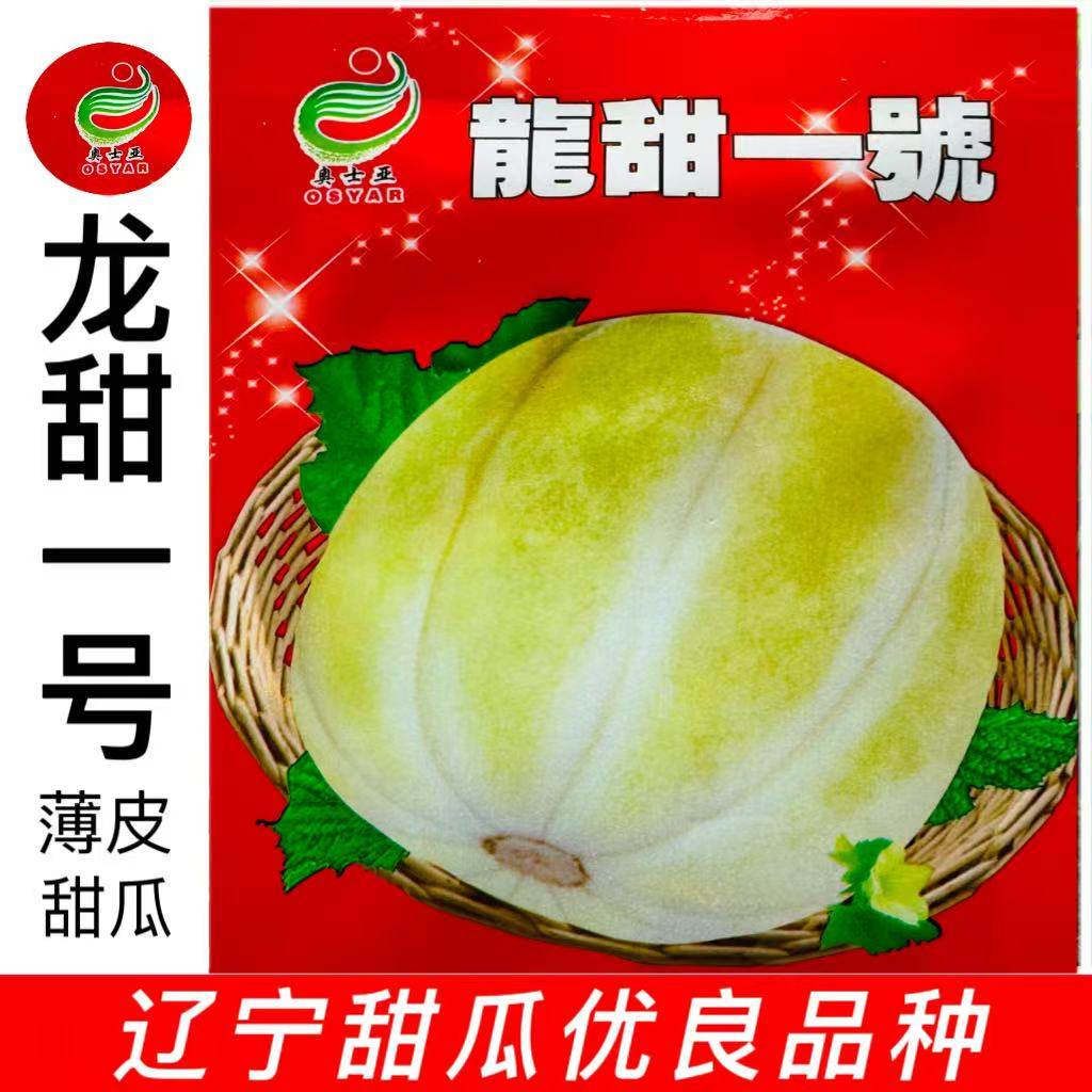 龙甜一号甜瓜种子高产抗病香瓜种籽早熟甜瓜种籽春夏季播甜瓜种孑