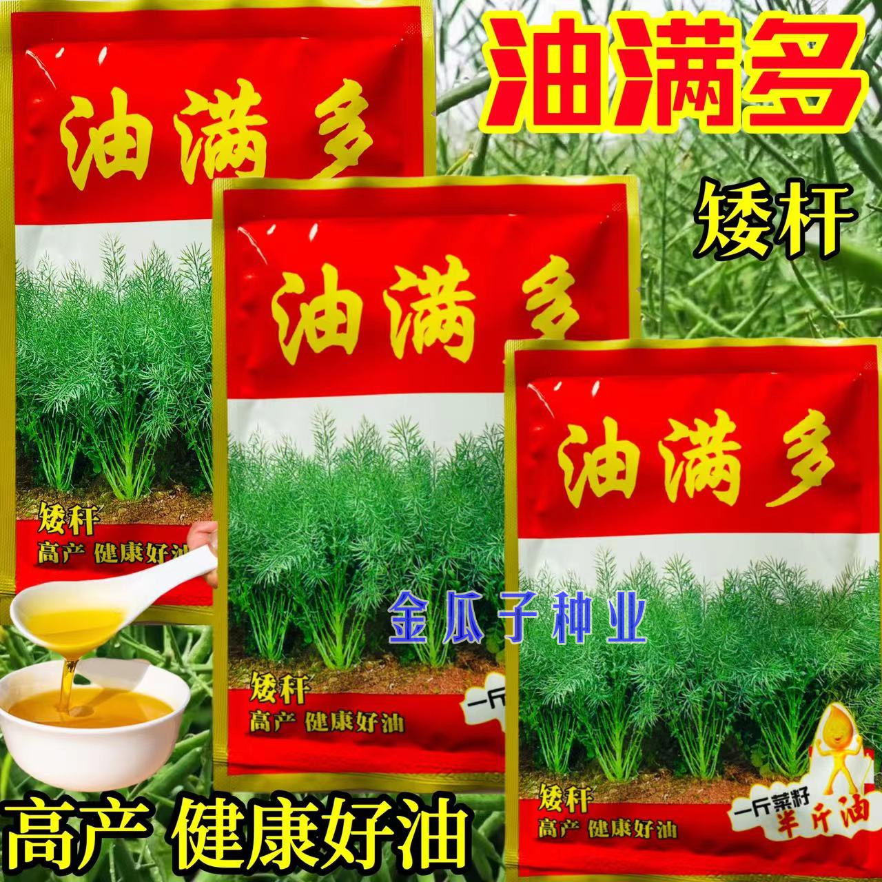 油满多矮杆油菜籽早熟高产抗病
