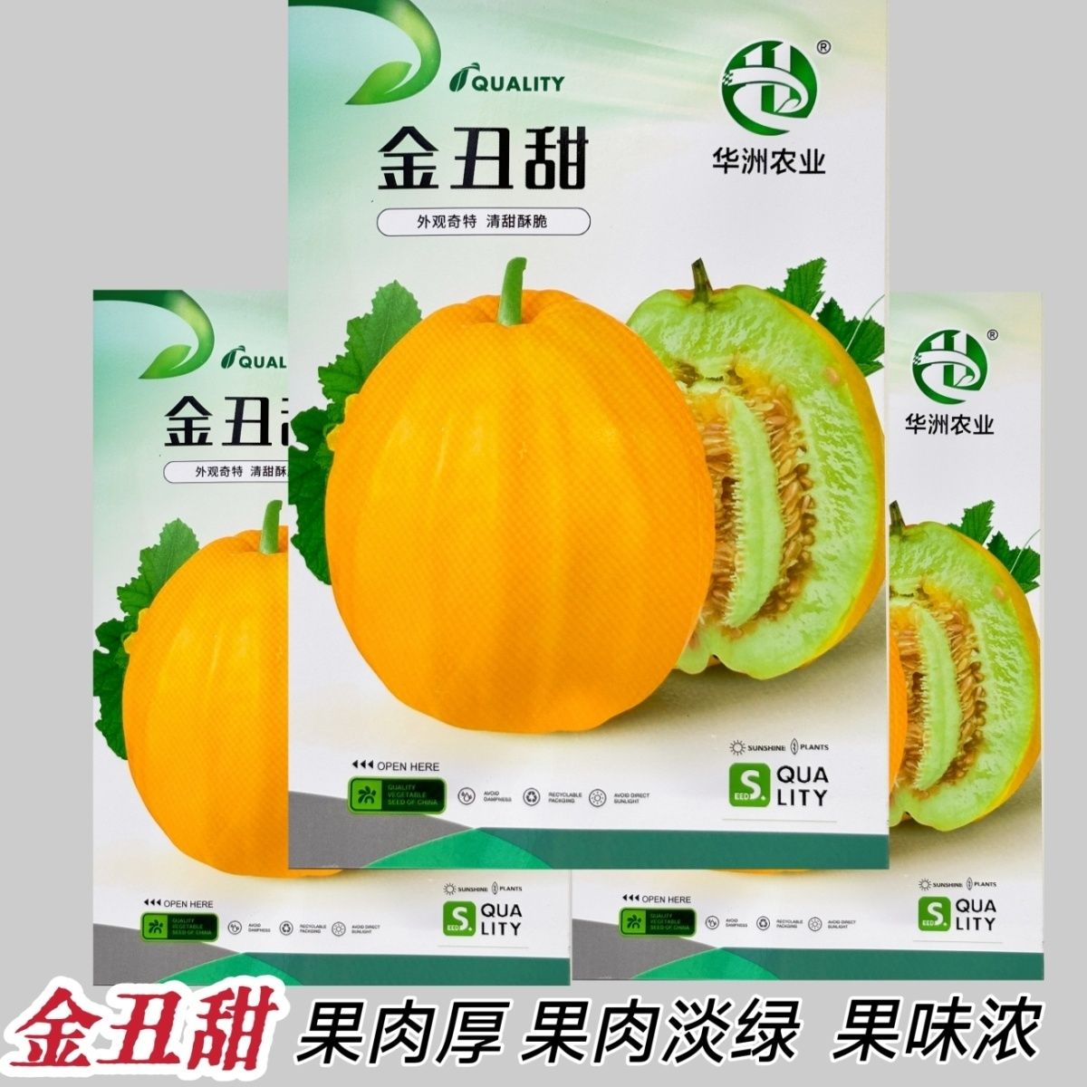 金丑甜甜瓜种子高产超甜黄金蜜香瓜种籽皮薄肉厚农家大田水果种孑