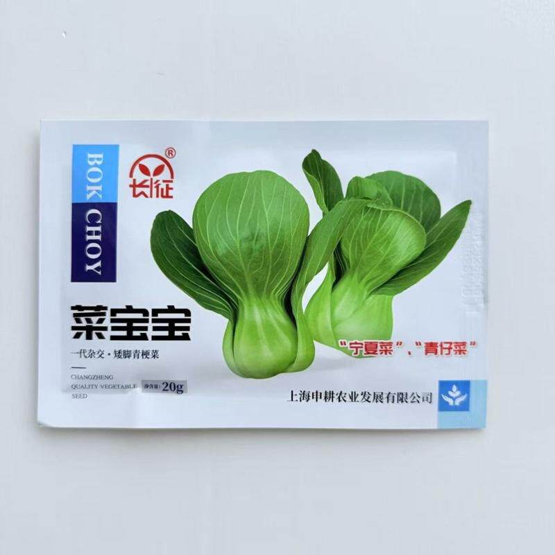 菜宝宝 青仔菜耐热耐寒心叶发达,直立束腰叶片叶柄皆为绿色