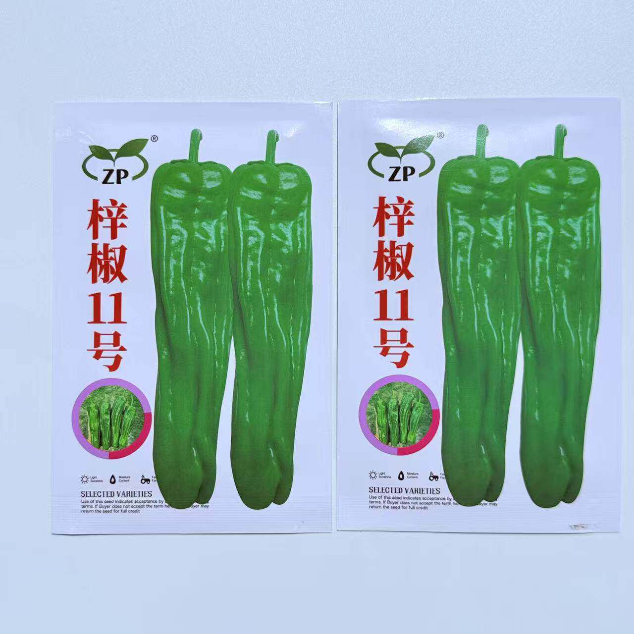 梓椒11号薄皮泡椒种子早熟超大果型皮薄质脆辣味适中坐果密春秋种