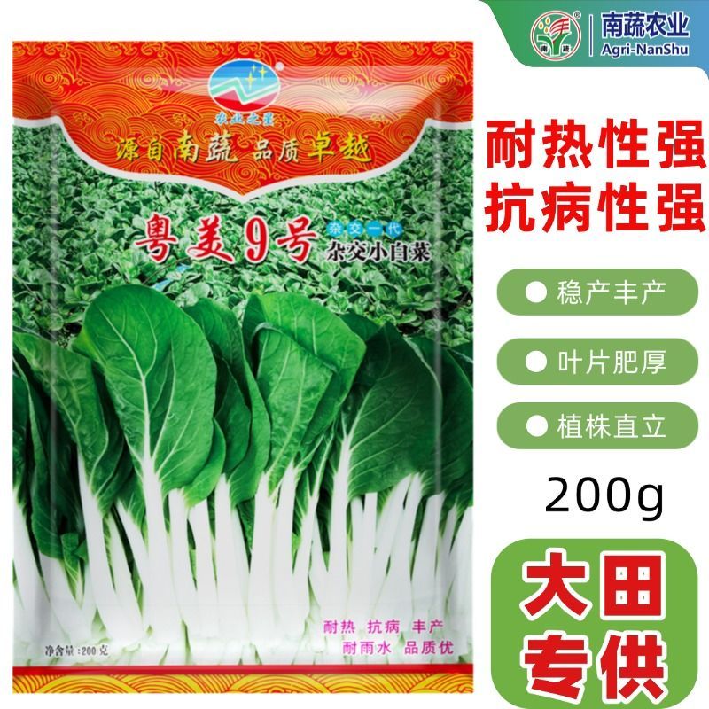 粤美9号黑叶小白菜种子四季耐热耐寒耐病春季甜白菜秋播蔬菜种子