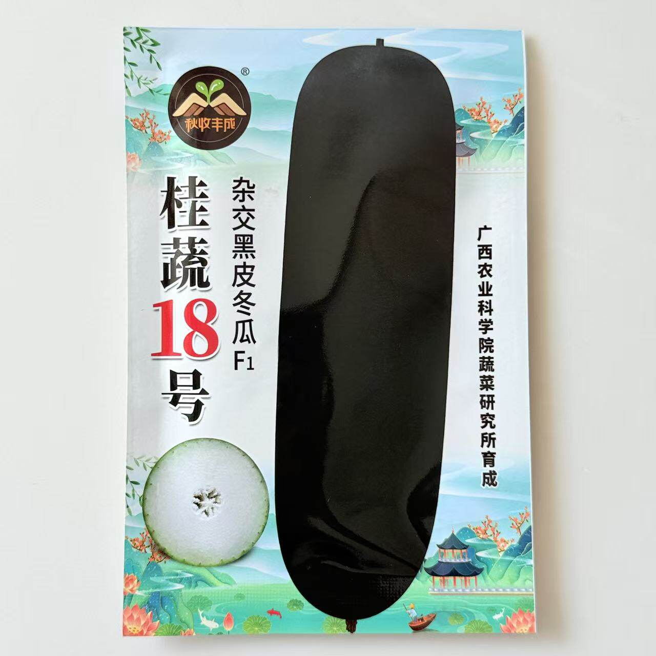 18号黑皮冬瓜种籽 杂交高产巨型冬瓜 基地专用抗病耐储运蔬菜