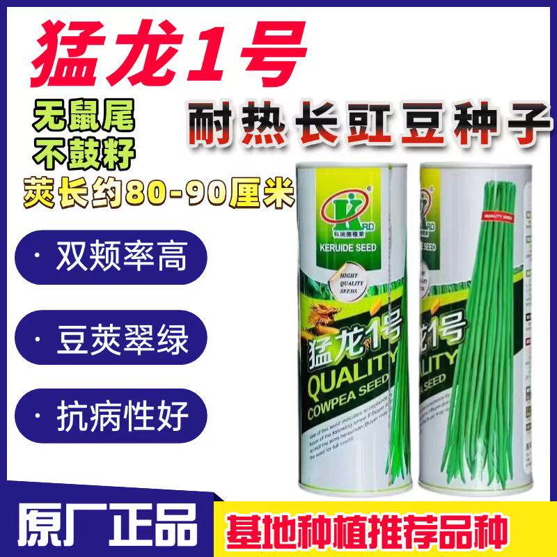 猛龙1号豆角种子早熟长豇豆种子双夹多亮绿不鼓子春秋播蔬菜种籽