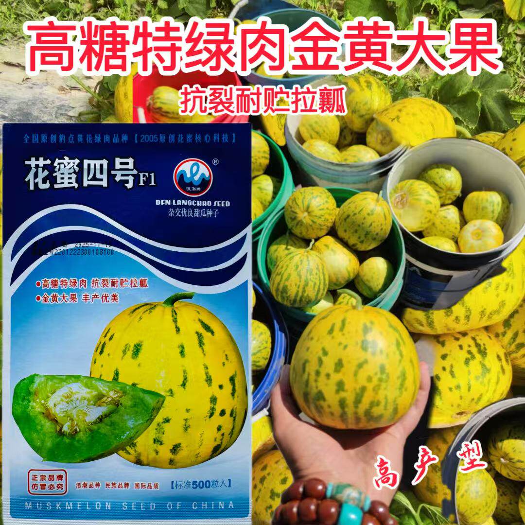 浪潮花蜜四号甜瓜种子香瓜种籽春季四季水果早熟高产抗病特大种孑