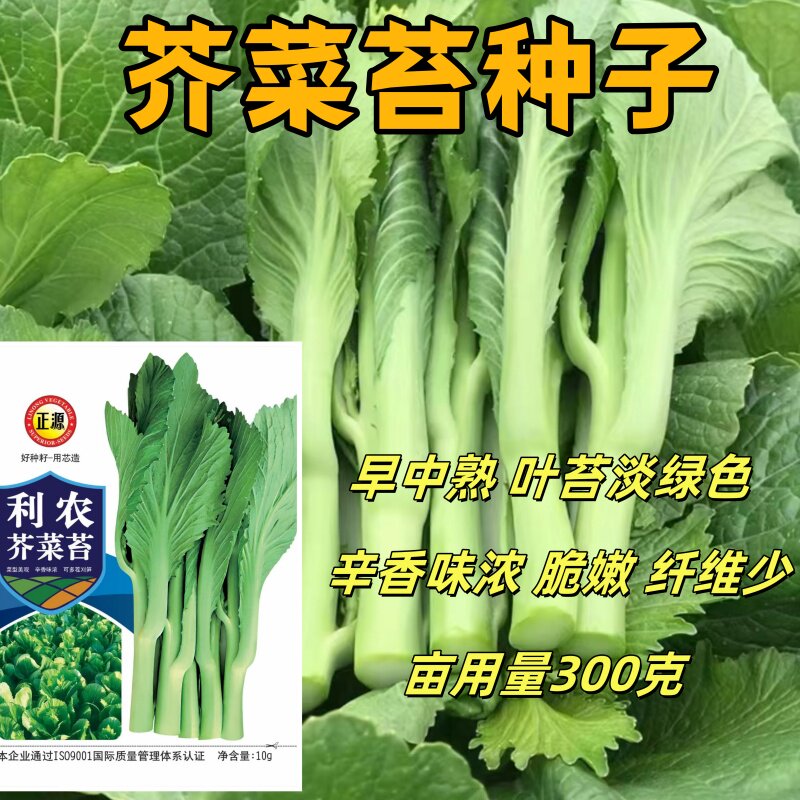 利农芥菜苔种子极早熟抗病耐热