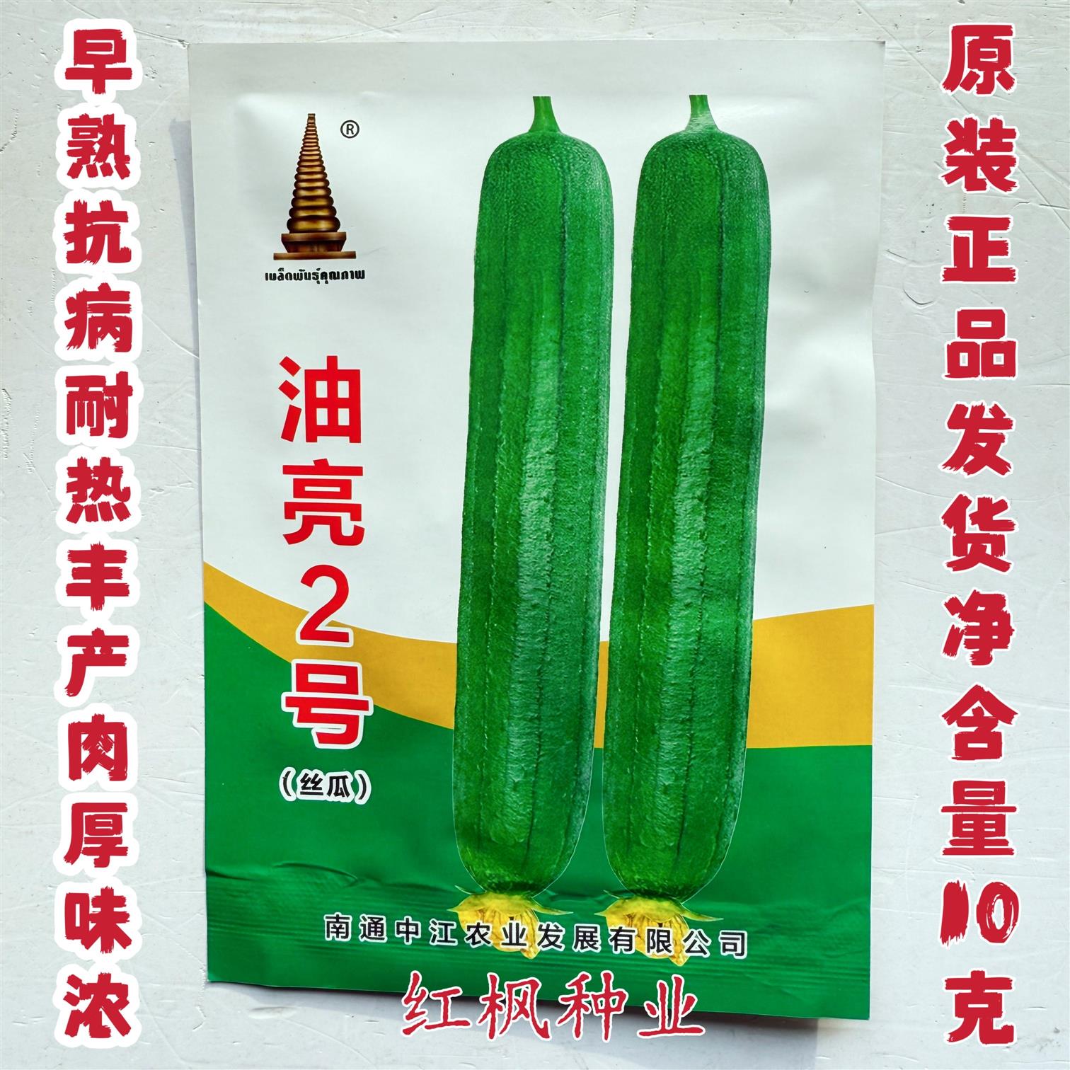 油亮2号丝瓜种子早熟油绿丝瓜种子早熟耐热短棒型丝瓜籽春夏季播