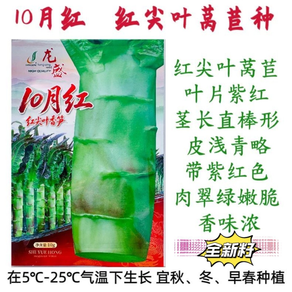 龙盛10月红尖叶香笋种子秋冬耐寒抗病青皮紫边清香莴笋蔬菜种籽子