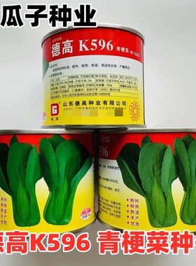 德高K596青菜种子耐热耐雨耐湿丰产青梗菜种籽抗病强柔性好青菜孑