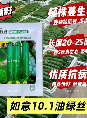 如意101丝瓜种子杂交短棒油绿丝瓜种子香味浓抗病耐低温弱光蔓生