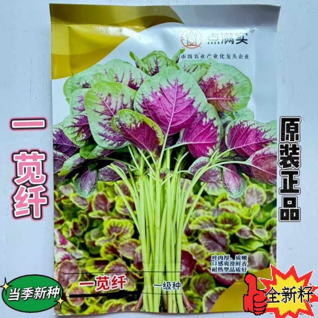 一苋纤早中熟扁圆叶苋菜种子叶色红绿绿白梗叶肉厚质嫩春夏秋种植