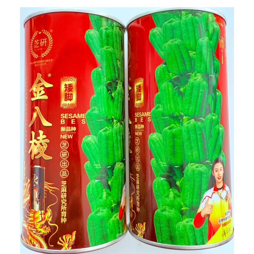 金八棱矮脚芝麻种子农家春夏季耐旱不倒伏白芝麻种籽高油蔬菜种孑