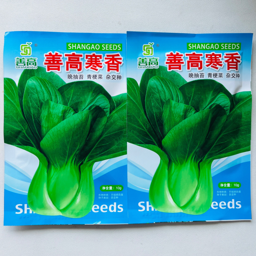 善高寒香青菜种子农家春秋季盆栽四季小青菜种孑杂交油亮蔬菜种籽