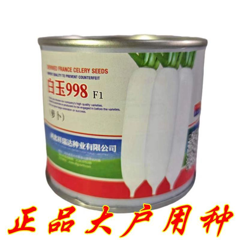 白玉998春萝卜种子高产耐寒耐抽苔不糠心进口四季白萝卜50克罐装