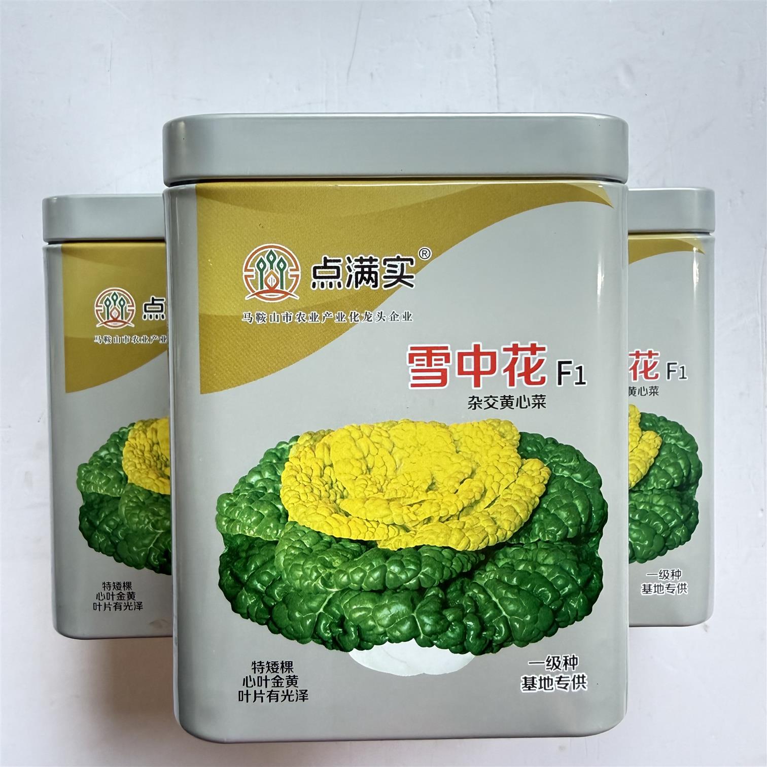 雪中花黄心乌塌菜种子雪里金花四季耐寒黄心菜菊花心菜秋冬季蔬菜