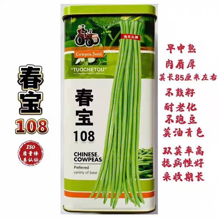 春宝108豇豆种子高产油青长豆角种籽早中熟耐老化春秋季蔬菜豆角